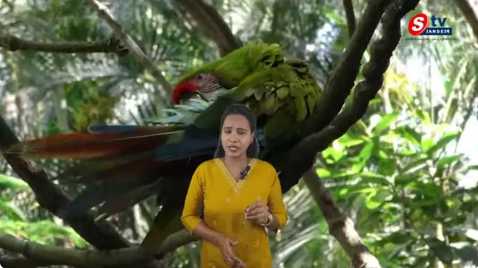 నిమిషాలు లేదా కొద్ది రోజులు మాత్రమే బతికే వింత జీవులు.. ప్రకృతి సృష్టించిన అద్భుతం!