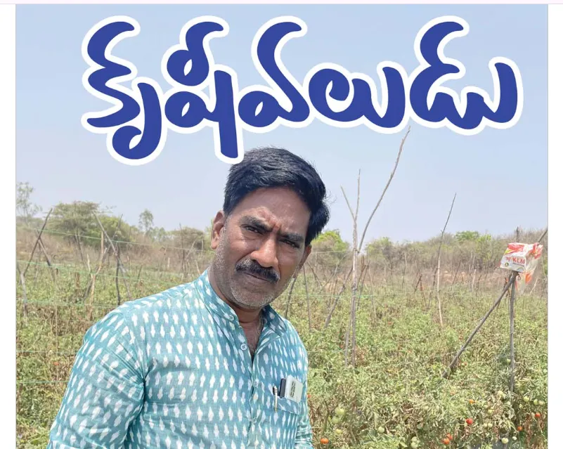 కృషివలుడు