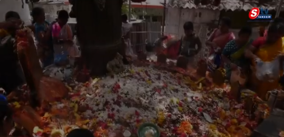 Nagula Panchami Special Stories